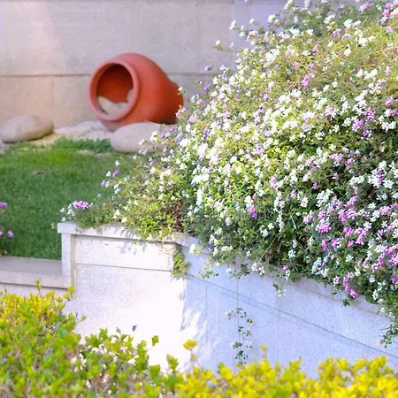 Exclusivo En Con Piscina A Unos 150 M De La Playa De Silgar * Sanxenxo