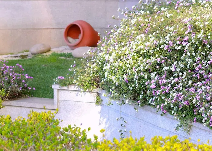 Exclusivo En Con Piscina A Unos 150 M De La Playa De Silgar * Sanxenxo